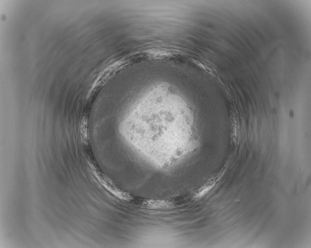 X0000053050766200507251423