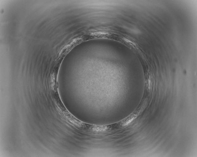 X0000053050767200507251423