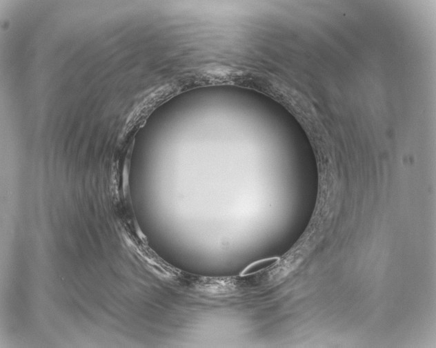 X0000053050768200507251423