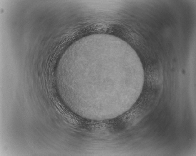 X0000053050769200507251422