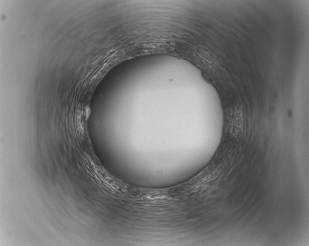 X0000053050770200507251422