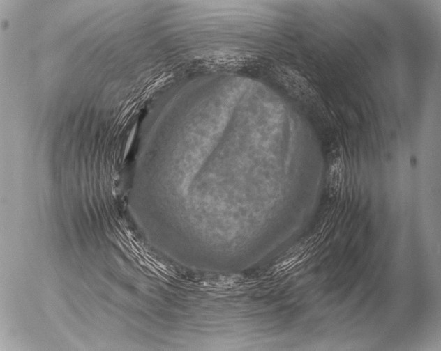 X0000053050772200507251422