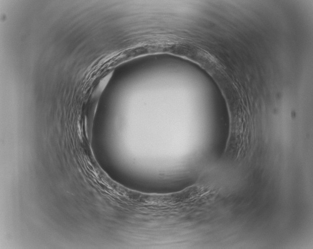 X0000053050773200507251422