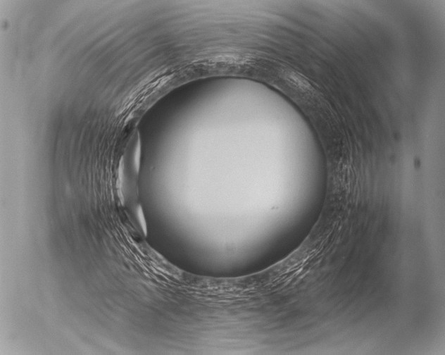 X0000053050774200507251422