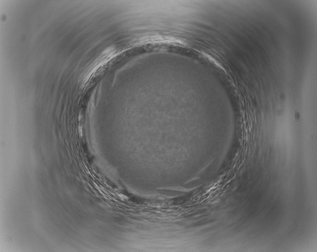 X0000053050775200507251422