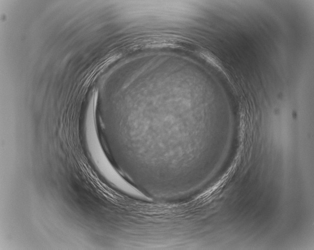 X0000053050777200507251422