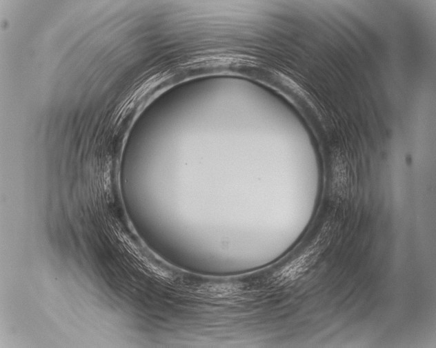 X0000053050778200507251422