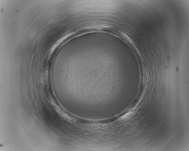 X0000053050779200507251422