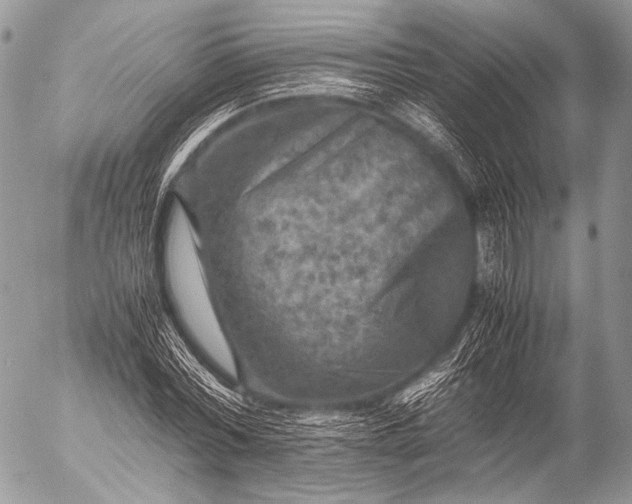 X0000053050780200507251422