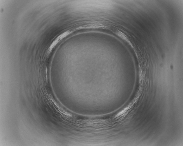 X0000053050781200507251422