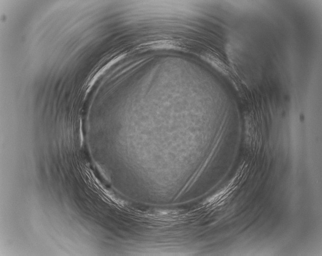 X0000053050782200507251422