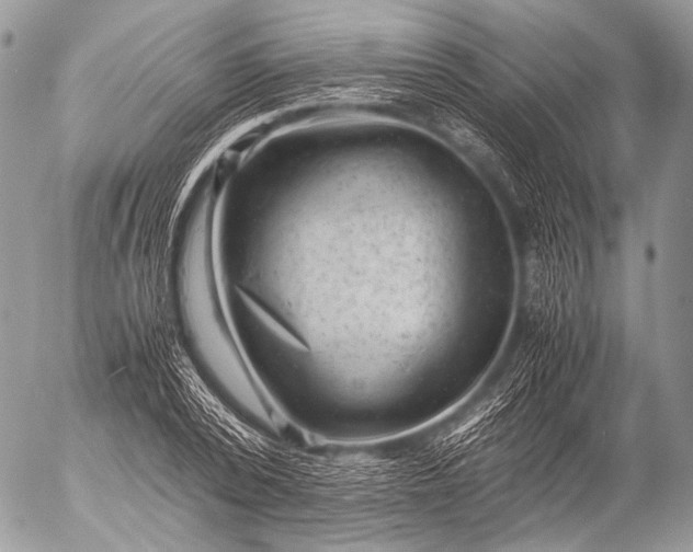 X0000053050784200507251422