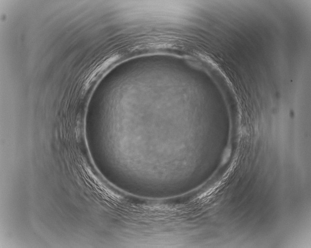 X0000053050785200507251422