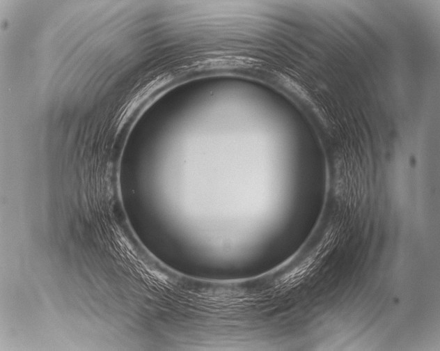 X0000053050786200507251422