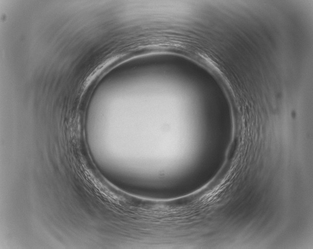 X0000053050787200507251422