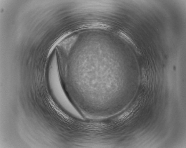 X0000053050788200507251422