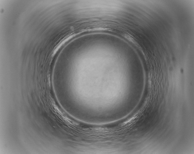 X0000053050789200507251422