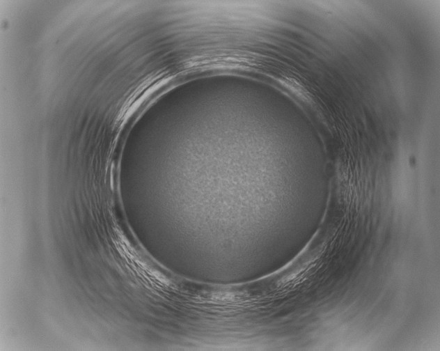 X0000053050790200507251422