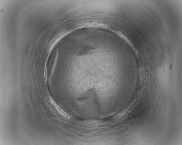 X0000053050791200507251422