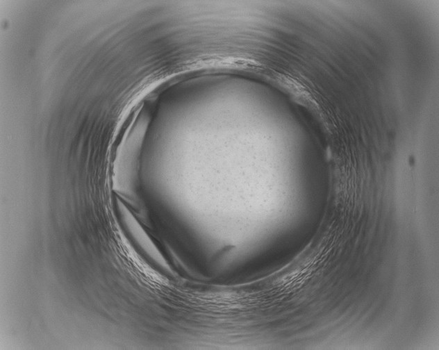 X0000053050792200507251422