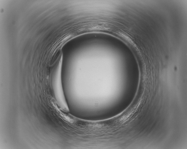 X0000053050793200507251422