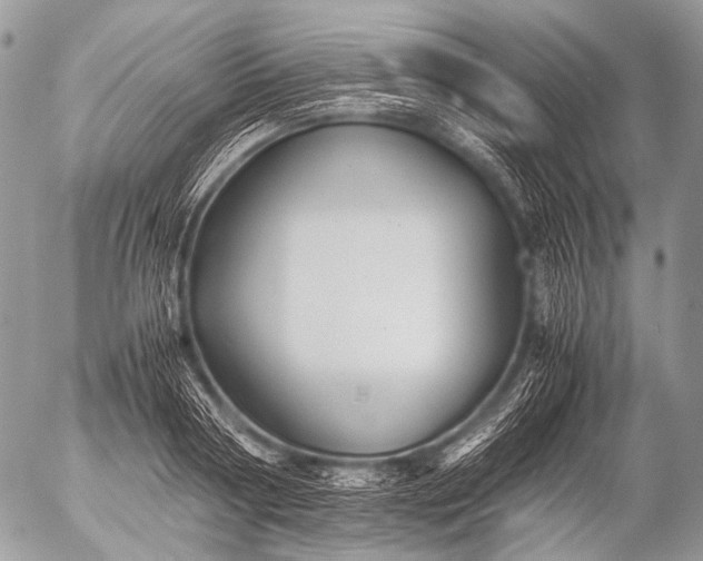 X0000053050794200507251422