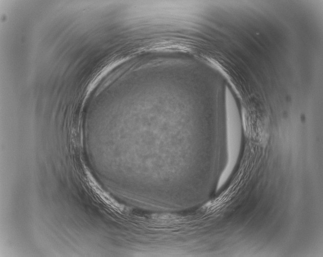 X0000053050795200507251422