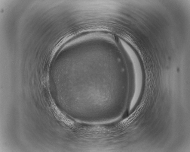 X0000053050797200507251422