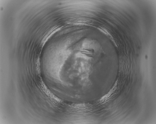 X0000053050798200507251422