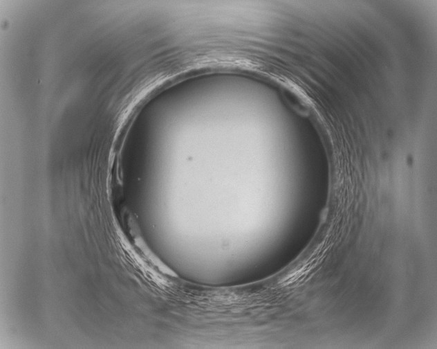 X0000053050799200507251422