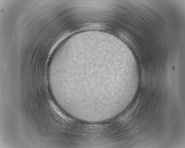 X0000053050800200507251421