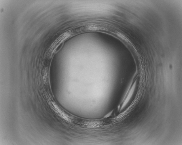 X0000053050801200507251421