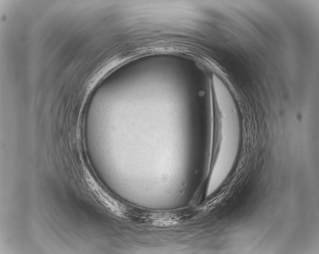 X0000053050803200507251421