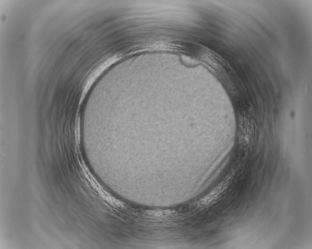 X0000053050804200507251421