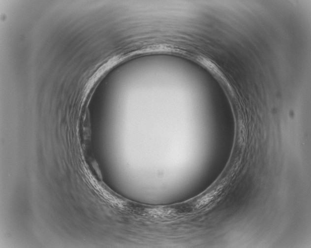 X0000053050805200507251421