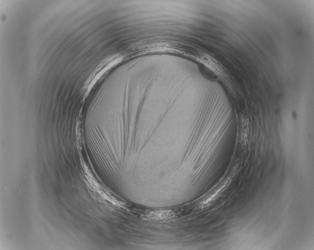 X0000053050806200507251421