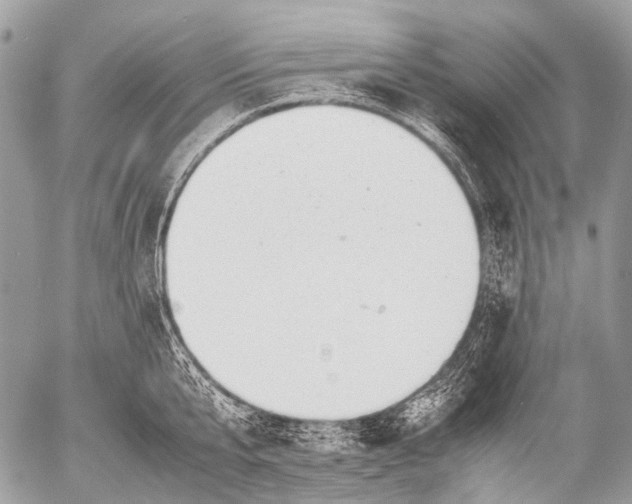 X0000053050807200507251421