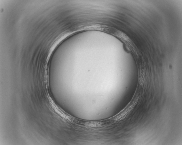 X0000053050808200507251421