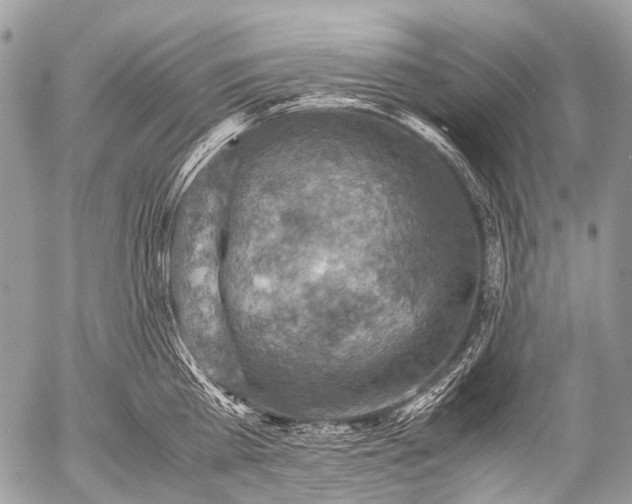 X0000053050809200507251421