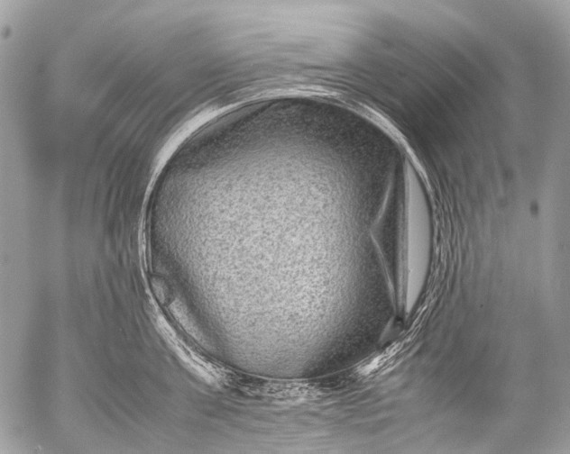 X0000053050811200507251421