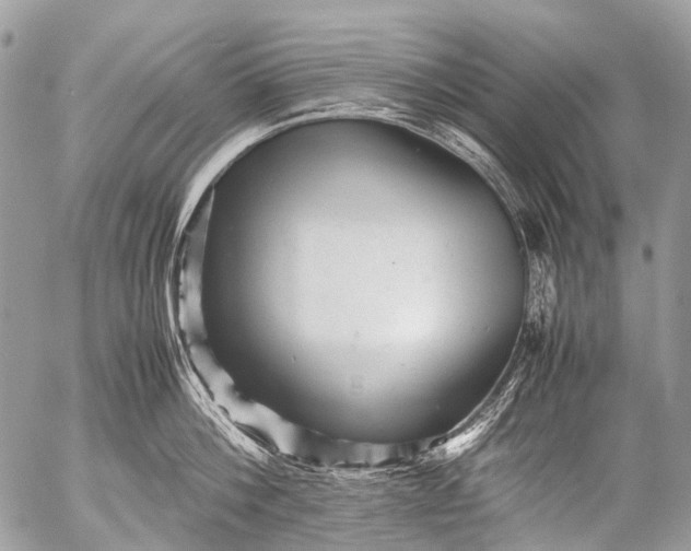 X0000053050812200507251421