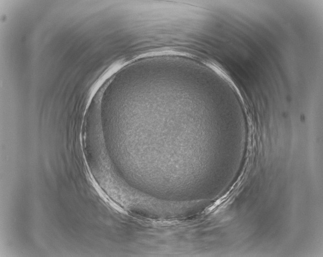 X0000053050813200507251421