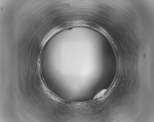 X0000053050814200507251421