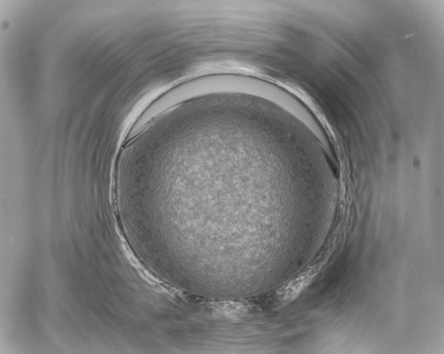 X0000053050815200507251421