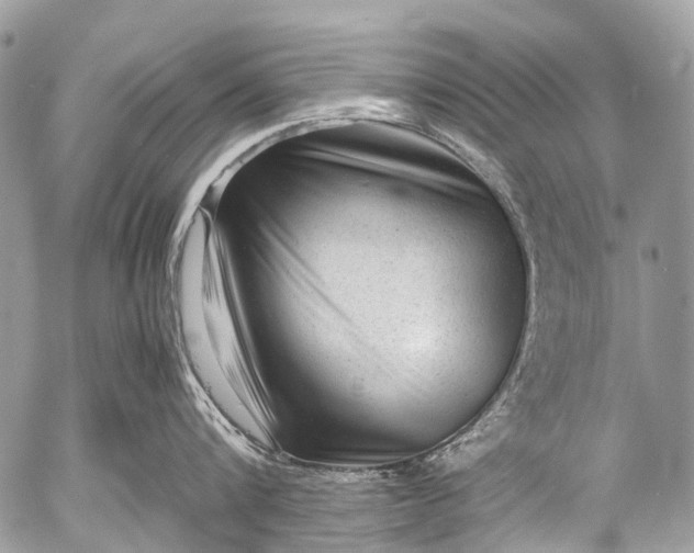 X0000053050816200507251421