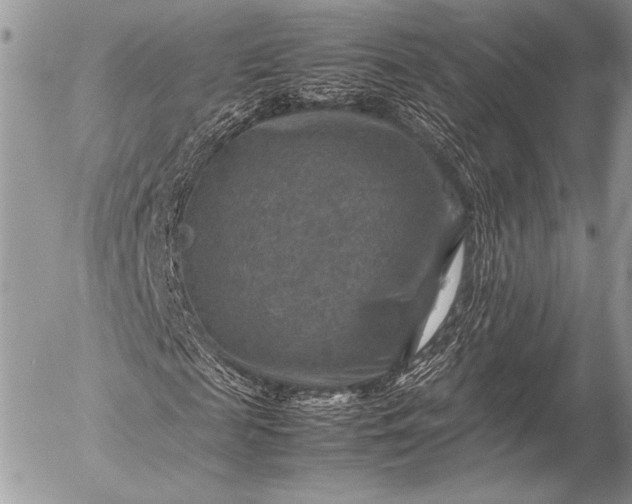 X0000053050817200507251420