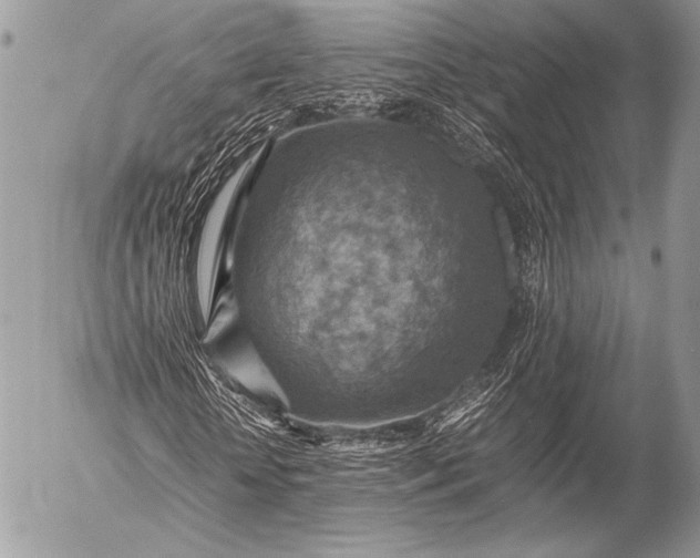 X0000053050818200507251420