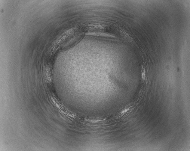 X0000053050819200507251420