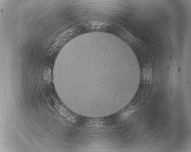 X0000053050820200507251420