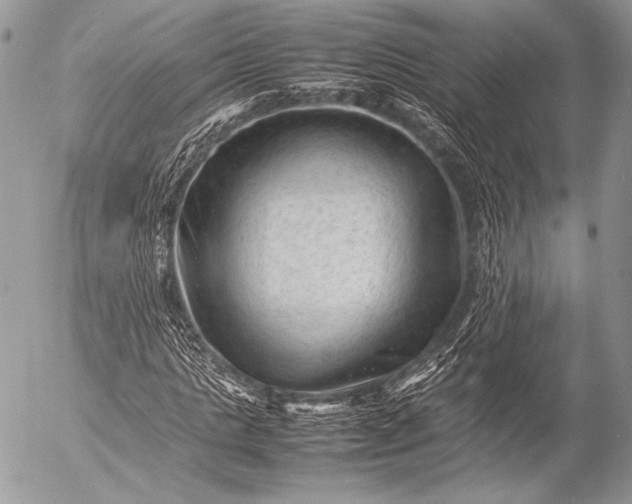 X0000053050821200507251421